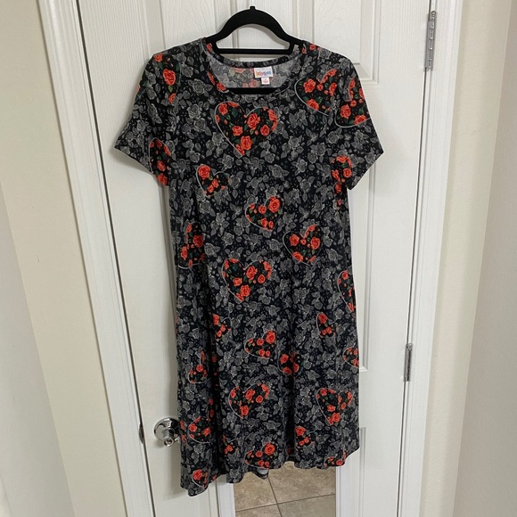 Gently Used - LulaRoe Jessie Dress (S) - Picture 1 of 6